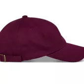 Kšiltovka Alpinestars Deduce Strapback "dad" burgundy
