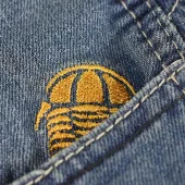 Dámské kevlarové džíny na moto Trilobite Parado slim fit long blue level 2